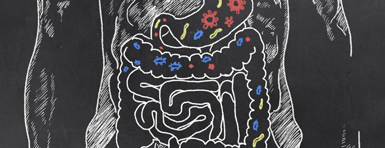 Benefits of Farting  Probiotics Learning Lab