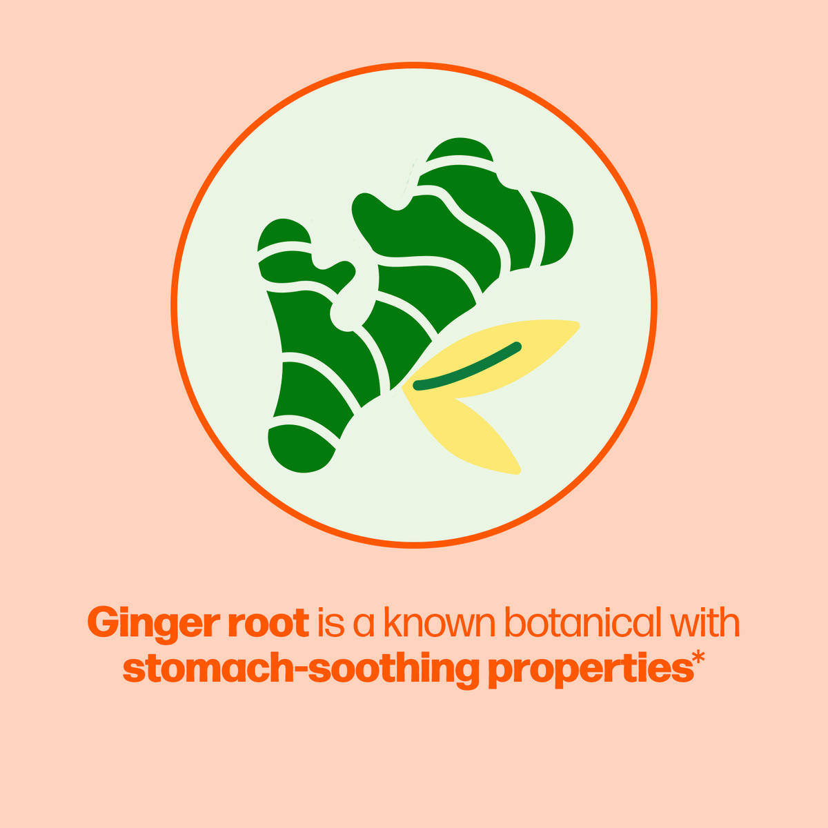 Bloating Gas Defense Probiotic Capsules Culturelle bloating-gas-defense-probiotic-capsules-culturelle