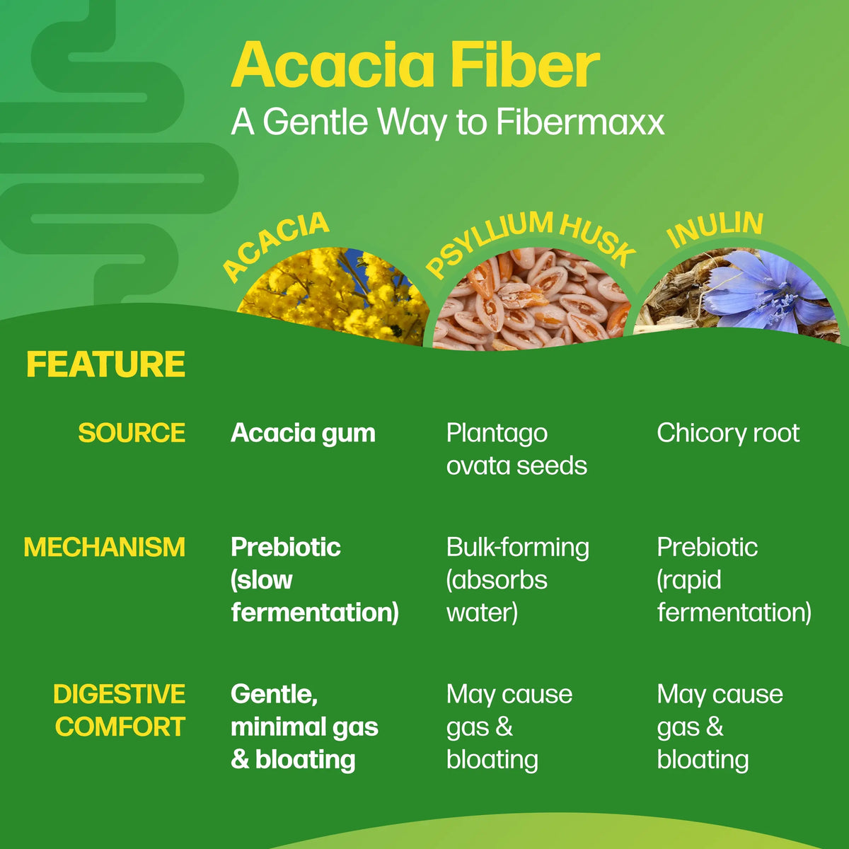 NEW! Culturelle® Probiotics + FiberMax Packets